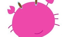 女4在线观看,揭秘网络红人的崛起之路